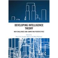 Developing Intelligence Theory