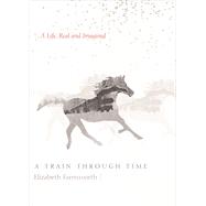 A Train through Time A Life, Real and Imagined 9781619028432