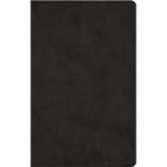Men's Devotional Bible 9781433548437