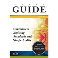 Audit Guide