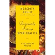 Desperately Seeking Spirituality 9780814648506