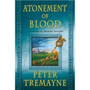 Atonement of Blood A Mystery of Ancient Ireland 9781250068521