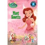 Disney Fairies: Meet Rosetta 9780316378536