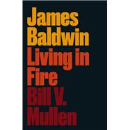 James Baldwin 9780745338545