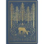 Illuminated Scripture Journal 9781433568572