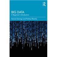 Big Data 9781138598577