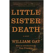 Little Sister Death A Novel 9781941088586