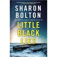 Little Black Lies A Novel 9781250028594