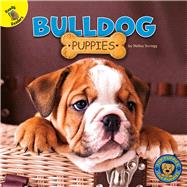 Bulldog Puppies 9781731628619