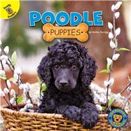 Poodle Puppies 9781731628640