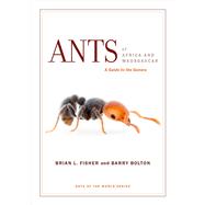 Ants of Africa and Madagascar 9780520278660