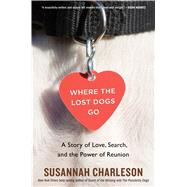 Where the Lost Dogs Go 9780358298663