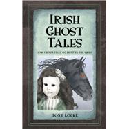 Irish Ghost Tales 9781845888671