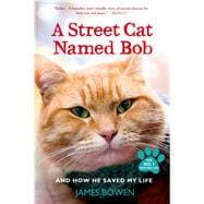 A Street Cat Named Bob And How He Saved My Life 9781250048677
