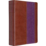 Holy Bible 9781433528699