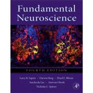 Fundamental Neuroscience 9780123858702