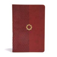 CSB Essential Teen Study Bible, Walnut LeatherTouch 9781433648731