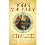 Chalice 9780441018741