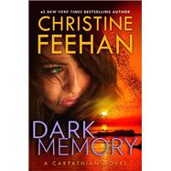 Dark Memory