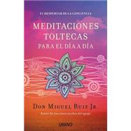 Meditaciones toltecas para el dia a dia / Living A Life Of Awareness 9788479538767