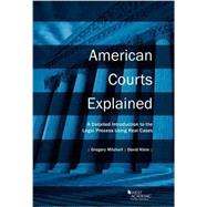 American Courts Explained 9781634598798