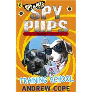 Training School 9780141338811