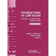 Foundations of Low Vision 9780891288831