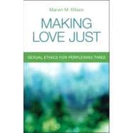 Making Love Just : Sexual Ethics for Perplexing Times 9780800698843
