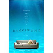 Underwater A Novel 9780374368869