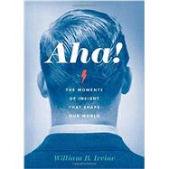 Aha! The Moments of Insight that Shape Our World 9780199338870
