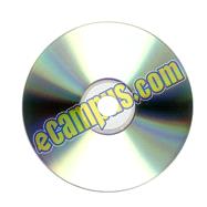 Software for Developmental Mathematics