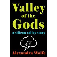 The Valley of the Gods A Silicon Valley Story 9781476778945