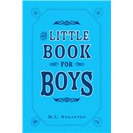Little Book for Boys 9781440528958
