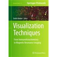 Visualization Techniques