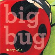 Big Bug 9781442498976