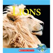 Lions