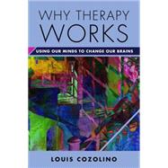 Why Therapy Works: Using Our Minds to Change Our Brains 9780393709056