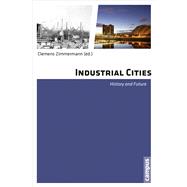 Industrial Cities: History and Future 9783593399140