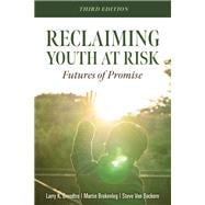 Reclaiming Youth at Risk 9781949539158