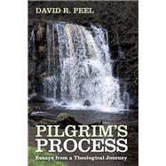 Pilgrims Process