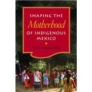 Shaping the Motherhood of Indigenous Mexico 9780826519177