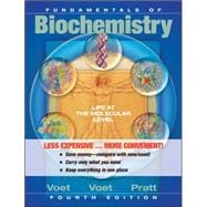Fundamentals of Biochemistry 9781118129180