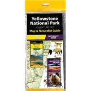 Yellowstone National Park Adventure Set 9781583559185