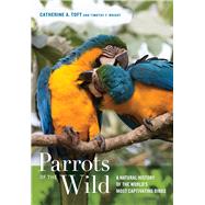 Parrots of the Wild 9780520239258