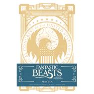 Fantastic Beasts and Where to Find Them Ruled Journal 2 9781608879304