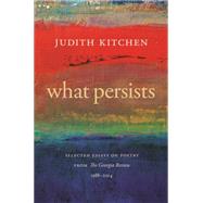 What Persists 9780820349312