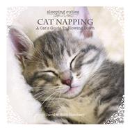 Cat Napping 9780987299314