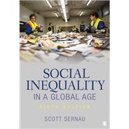 Social Inequality in a Global Age 9781544309316