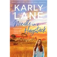 Needle in a Haystack