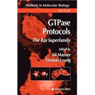 Gtpase Protocols